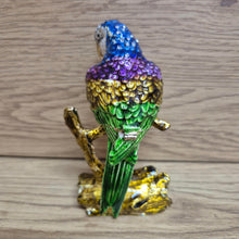 Load image into Gallery viewer, Macaw Parrot Jewellery Keepsake Ornament Gift | Macaw Trinket Box Bird Lovers Gift