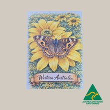 Load image into Gallery viewer, mEADOW aRGUS bUTTERFLY wESTERN aUSTRALIAN POSTCARD 