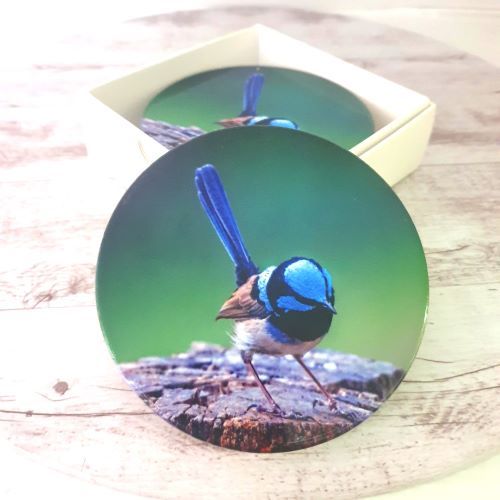 Blue Wren | Splendid Fairy Wren Coasters  | Australian Giftware | Table Bar Coasters