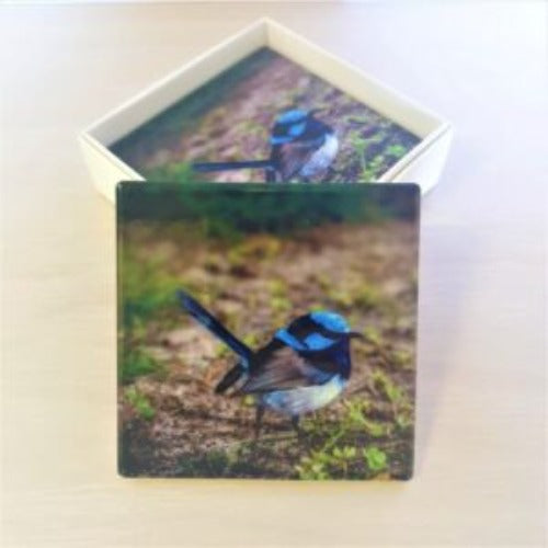 Blue Wren | Splendid Fairy Wren Coasters D | Australian Giftware | Table Coasters