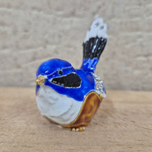 Load image into Gallery viewer, Splendid Fairywren blue wren trinket jewellery box keepsake gift 