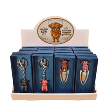 Load image into Gallery viewer, Highlander Cow Boxed Gifts | Counter Unit - Shelving Unit 16 Total Boxed Keychains &amp; Bookmarks