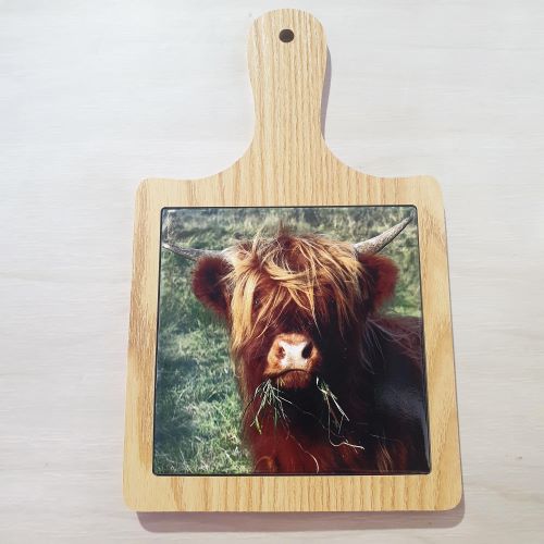 Cow Cheeseboard | Highland Cute Cow Kitchen Decorative Gift | Highlander A