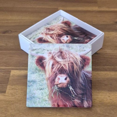 Highlander cow coaster set of 4 boxed gift 