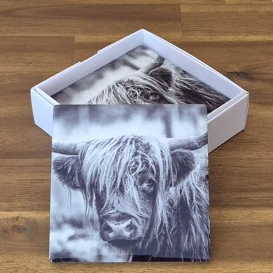 Cute highlander cow coasters black and white 