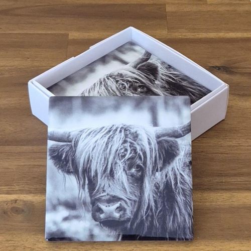 Cute highlander cow coasters black and white 