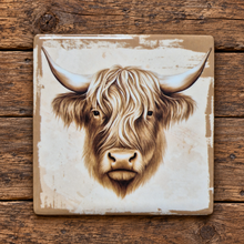 Load image into Gallery viewer, Highlander cow table bar coasters - set of 4 ceramic boxed gift