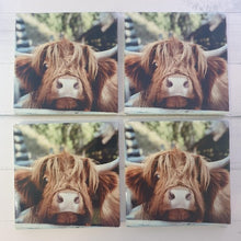 Load image into Gallery viewer, Cow Coasters | Highland Cute Cow Ceramic Table Coasters B | Cute Cow Gifts