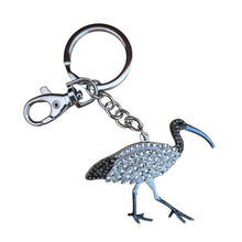 Load image into Gallery viewer, Bin Chicken Ibis Bird Keyring Keychain 