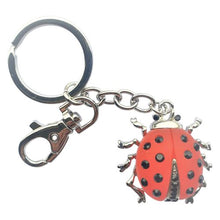 Load image into Gallery viewer, red &amp; black garden ladybug keyring keychain gift