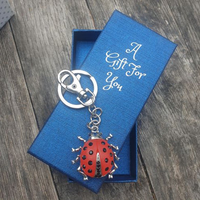 Red ladybug keyring keychain boxed bag chain gift 