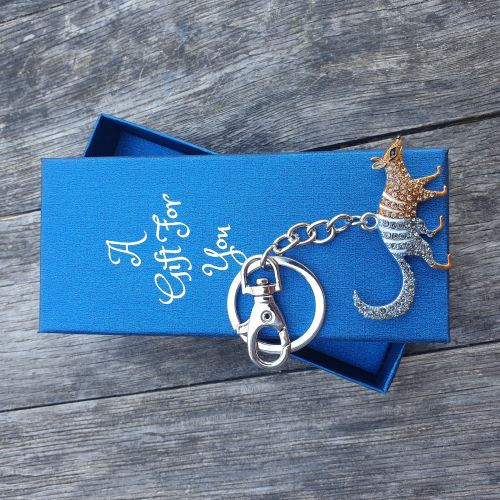 Western Australian numbat gift. Numbat keyring keychain bag chain boxed gift 