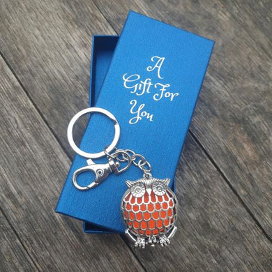 Essential oil pad keyring keychain owl boxed gift 