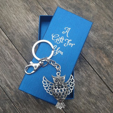 Silver metal keyring keychain boxed owl gift 