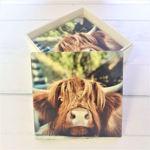 Cow Coasters | Highlander Cute Cow Ceramic Table Coasters B | Cute Cow Gifts