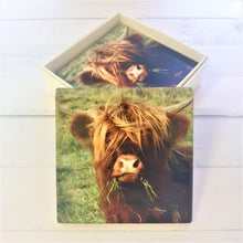 Load image into Gallery viewer, Cow Coasters | Highlander Cute Cow Ceramic Table Coasters A | Cute Cow Gifts