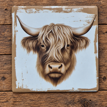 Load image into Gallery viewer, Cow Coasters | Highlander Cow Coasters | Set Of 4 Square Ceramic Table Coasters | White Background