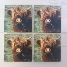 Load image into Gallery viewer, Cow Coasters | Highland Cute Cow Ceramic Table Coasters A | Cute Cow Gifts