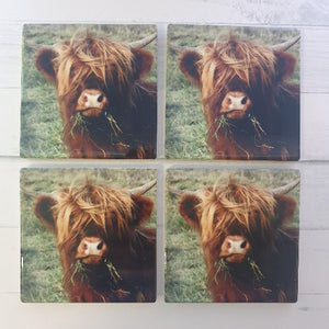 Cow Coasters | Highland Cute Cow Ceramic Table Coasters A | Cute Cow Gifts