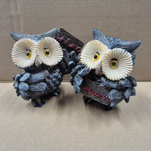 Load image into Gallery viewer, Welcome Owl Garden Ornament Pair | Resin Owl Statue's | Cute Owl Figures