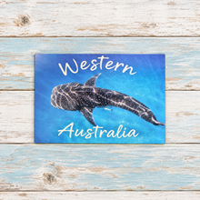 Load image into Gallery viewer, Western Australia Whale Shark Postcards | Pack Of Ten Glossy Postcards | Tourism Gifts | Ningaloo Coast Photography