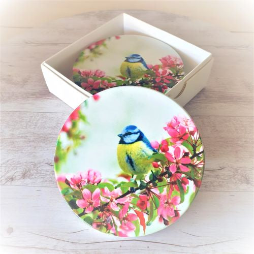 Blue Tit Bird Table Coasters | Set Of 4 Ceramic Boxed Gifts | Blue Tit Bird Giftware
