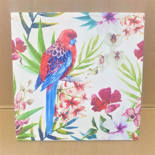 Australian Rosella Parrot Bird Kitchen Bench Trivet | Australian Wildlife Giftware