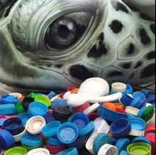Load image into Gallery viewer, Turtle | Aqua Blue Blend | Recycled Plastic | Hand Crafted Sea Turtle Gift Holder FS
