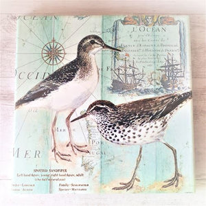 Seaside Ocean Wetland Bird Coasters & Trivet Gift Set | Table Kitchen Bird Lover Gift Set