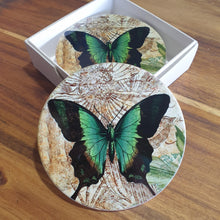 Load image into Gallery viewer, Butterfly Green - Coaster Gift Set Of 4 | Boxed Gift | Round Ceramic Coasters