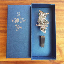 Load image into Gallery viewer, Our beautiful green wise owl, hand made car diffusor boxed gift. A beautiful gift to give to any passionate owl lover.  Come&#39;s in our beautiful blue gift box with the writing A Gift For You | Two pieces, the back easily clicks onto your elephant | Oil pad in the back to add a couple of drops of your favourite fragrance or essential oil | Easily clips onto your car vent so you have a beautiful aroma in your car all day long. 